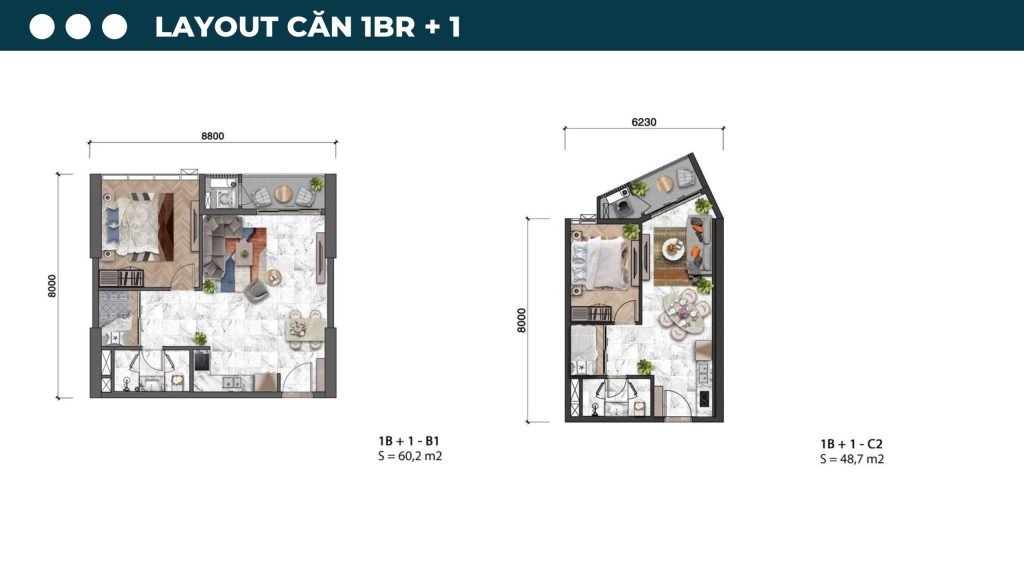 layout 1PN1 scaled 1